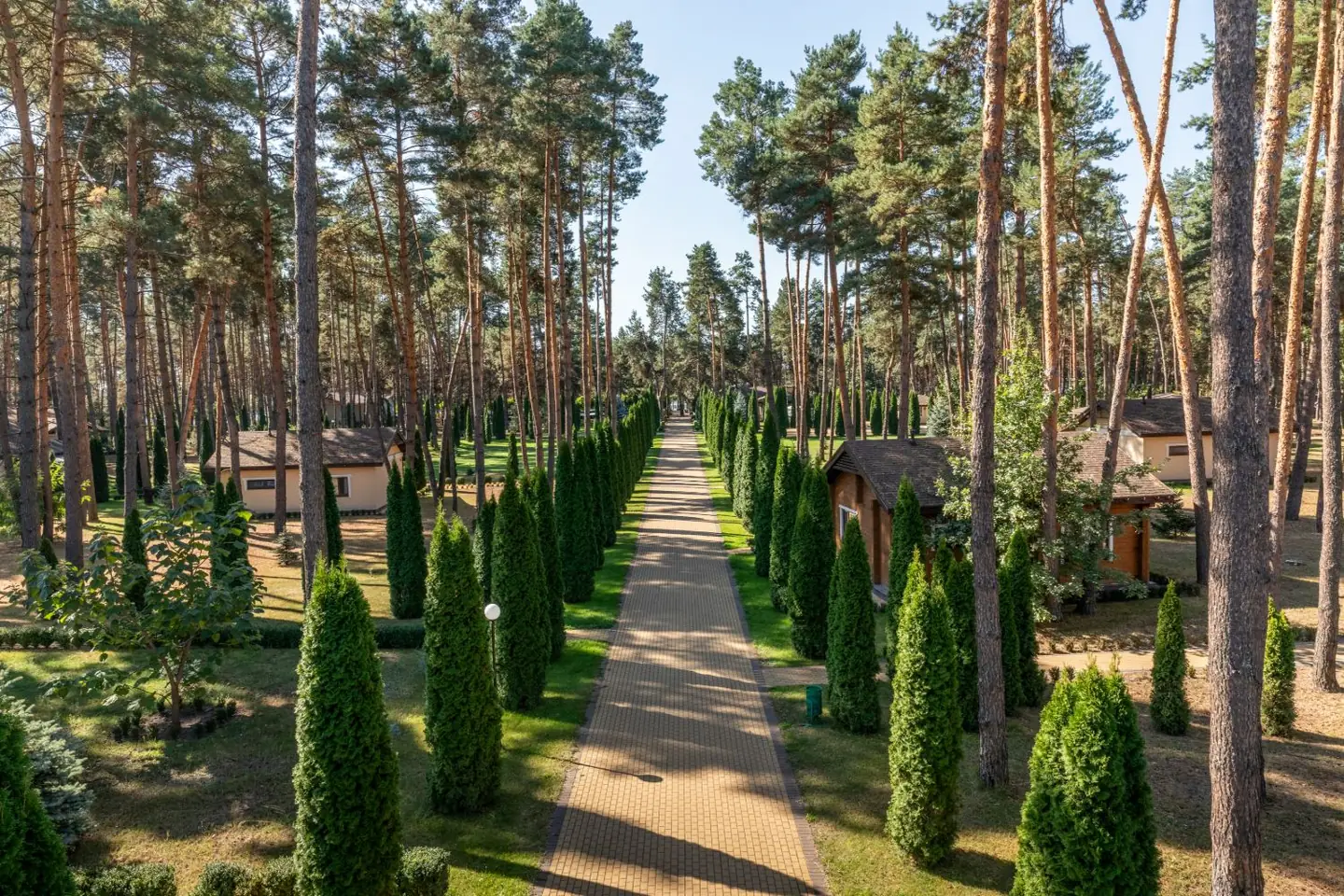 Paved alley between forest houses and pines at Tykhyy Lis park hotel