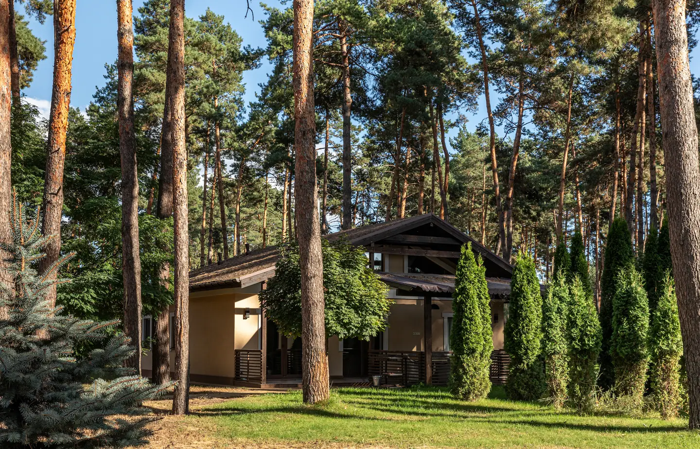Chalet Deluxe house in the forest at Tykhyy Lis